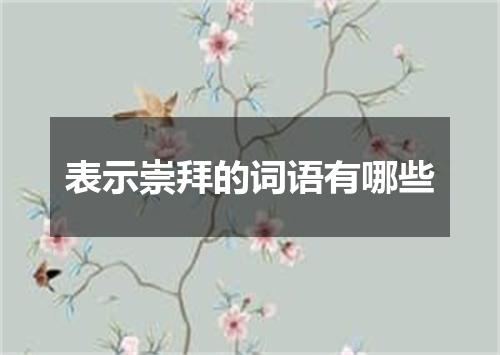 表示崇拜的词语有哪些