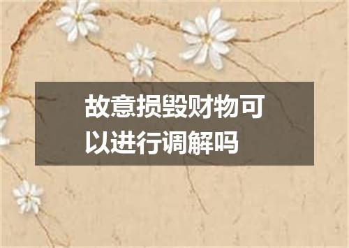 故意损毁财物可以进行调解吗