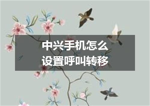 中兴手机怎么设置呼叫转移