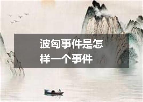 波匈事件是怎样一个事件