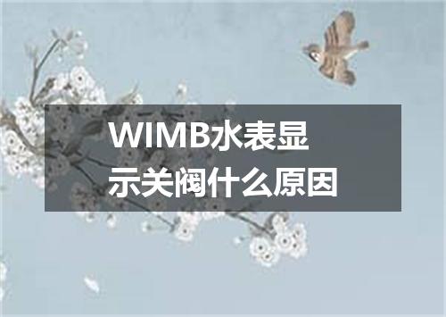 WIMB水表显示关阀什么原因