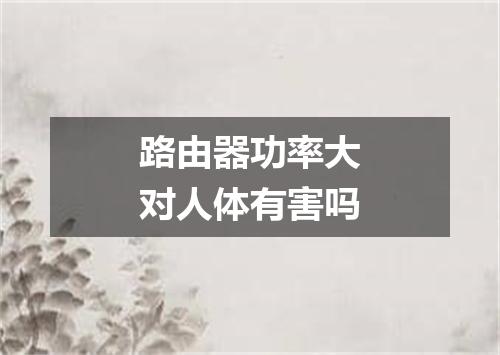 路由器功率大对人体有害吗