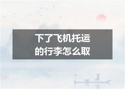 下了飞机托运的行李怎么取