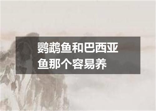 鹦鹉鱼和巴西亚鱼那个容易养