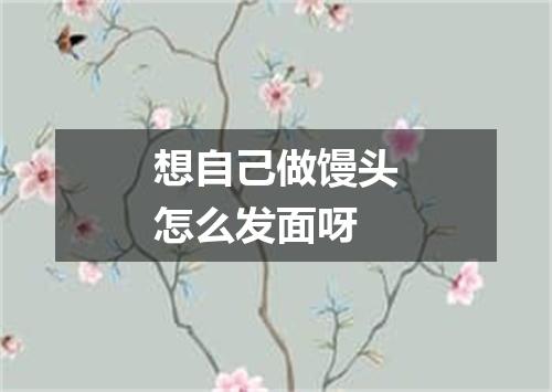 想自己做馒头怎么发面呀