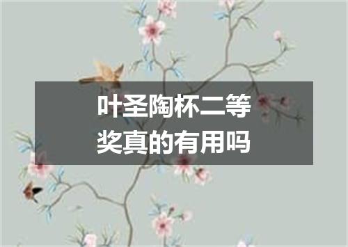 叶圣陶杯二等奖真的有用吗