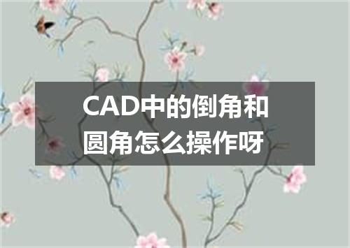 CAD中的倒角和圆角怎么操作呀
