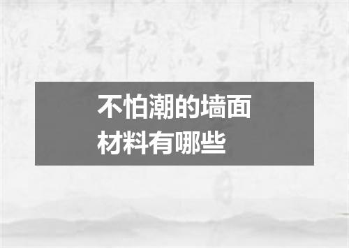 不怕潮的墙面材料有哪些