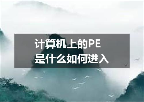 计算机上的PE是什么如何进入