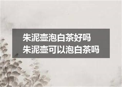 朱泥壶泡白茶好吗 朱泥壶可以泡白茶吗