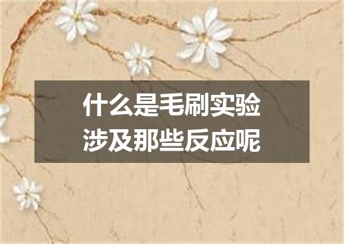 什么是毛刷实验涉及那些反应呢