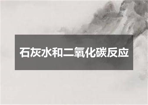 石灰水和二氧化碳反应