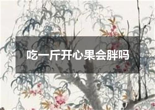 吃一斤开心果会胖吗