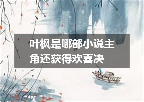 叶枫是哪部小说主角还获得欢喜决