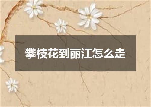 攀枝花到丽江怎么走