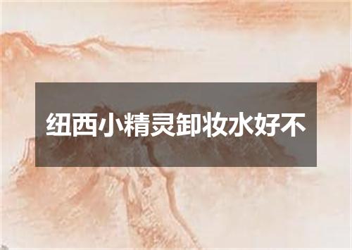 纽西小精灵卸妆水好不