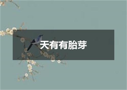 天有有胎芽