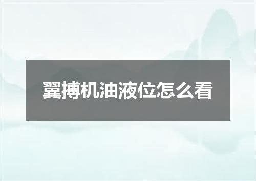 翼搏机油液位怎么看