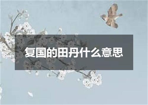 复国的田丹什么意思