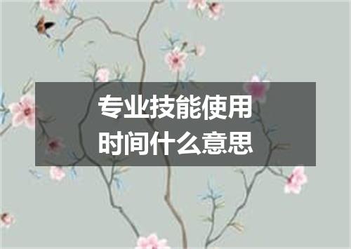 专业技能使用时间什么意思