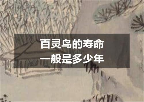 百灵鸟的寿命一般是多少年