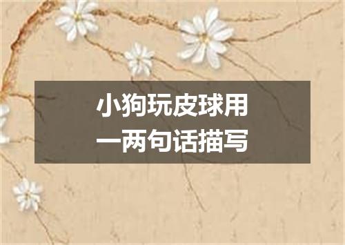 小狗玩皮球用一两句话描写