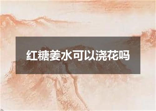 红糖姜水可以浇花吗