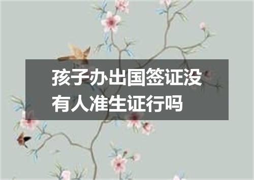 孩子办出国签证没有人准生证行吗
