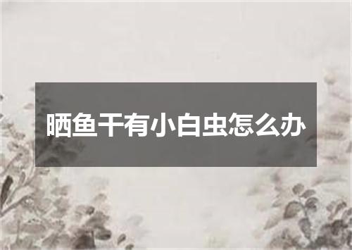 晒鱼干有小白虫怎么办