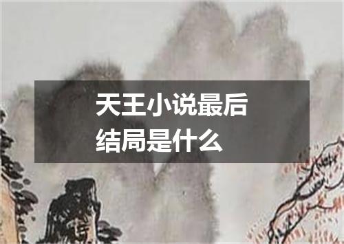 天王小说最后结局是什么