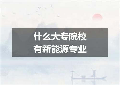 什么大专院校有新能源专业