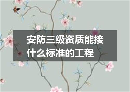 安防三级资质能接什么标准的工程
