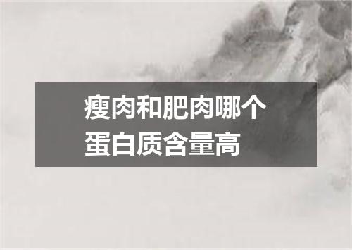 瘦肉和肥肉哪个蛋白质含量高