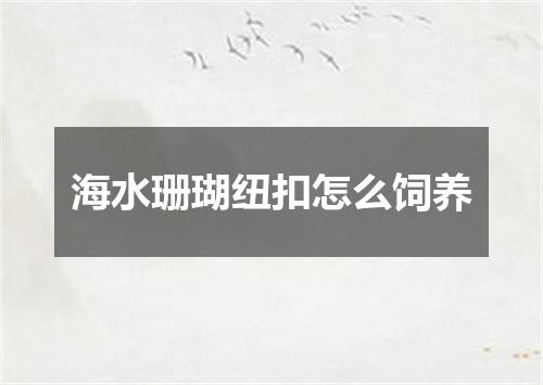 海水珊瑚纽扣怎么饲养