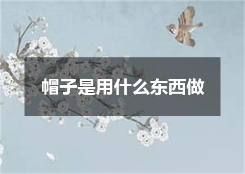 帽子是用什么东西做