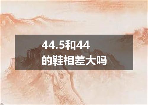 44.5和44的鞋相差大吗