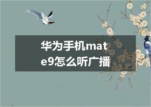 华为手机mate9怎么听广播