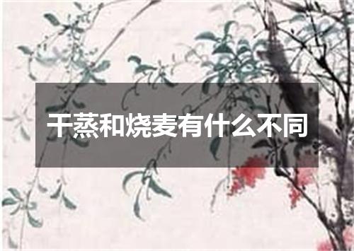 干蒸和烧麦有什么不同