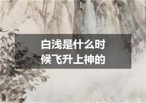 白浅是什么时候飞升上神的