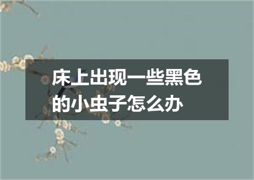 床上出现一些黑色的小虫子怎么办