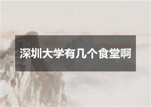 深圳大学有几个食堂啊