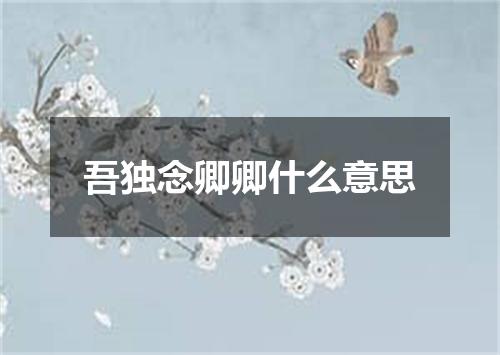 吾独念卿卿什么意思