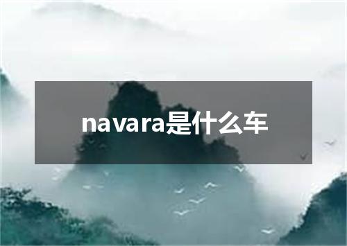 navara是什么车