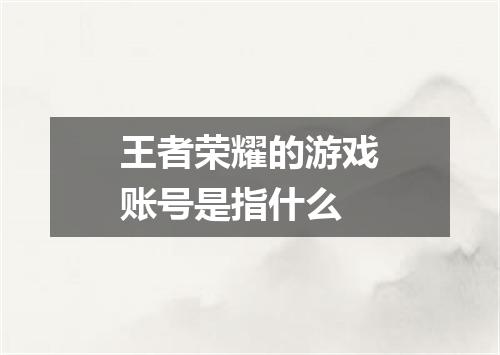 王者荣耀的游戏账号是指什么