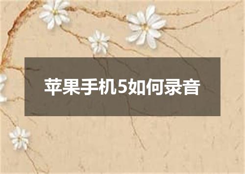 苹果手机5如何录音