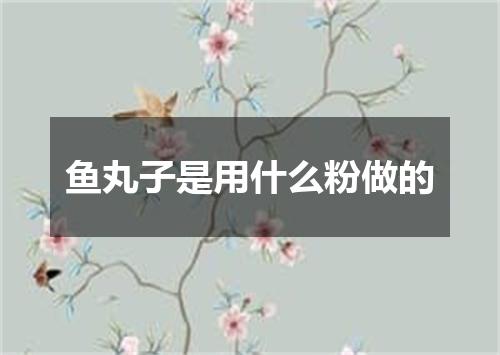 鱼丸子是用什么粉做的