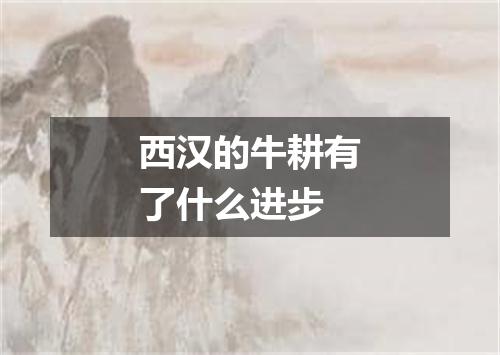 西汉的牛耕有了什么进步