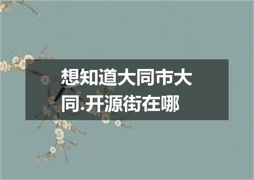 想知道大同市大同.开源街在哪