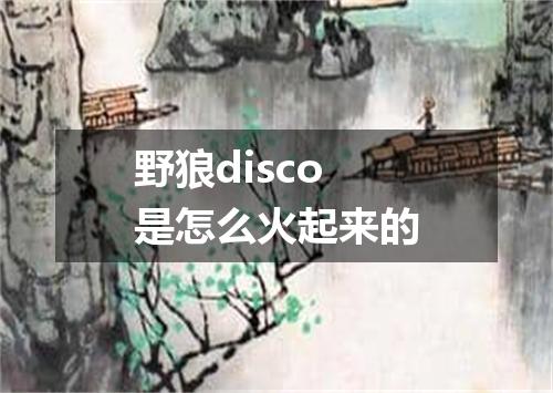 野狼disco是怎么火起来的