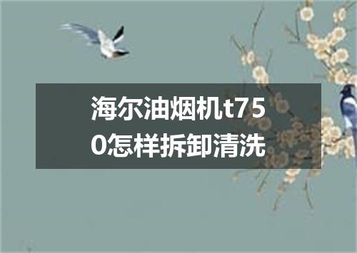 海尔油烟机t750怎样拆卸清洗